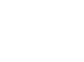 Mini-World (Autoservice Besuijen Goes) logo