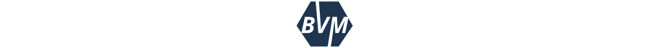 BVM Auto's Footer Logo