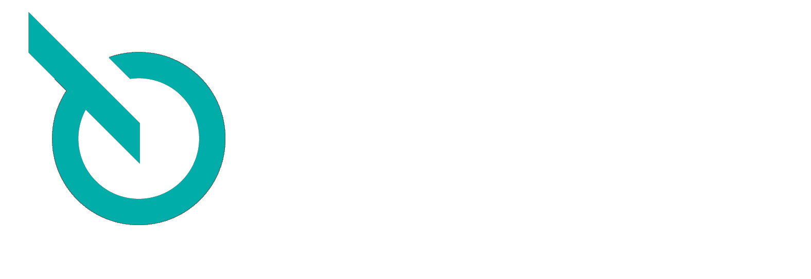 VWE Logo