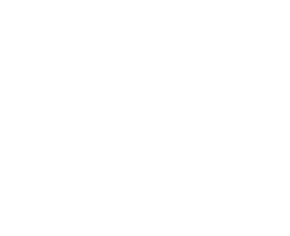 Dream Cars logo